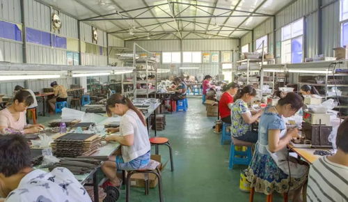 以產帶遷 以業促搬 勉縣移民安置社區產業就業聯動發展促脫貧技術服務